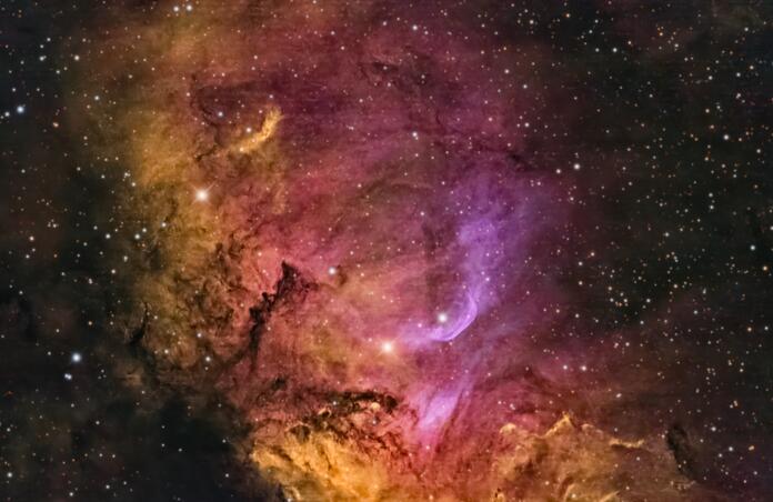 Tulip Nebula