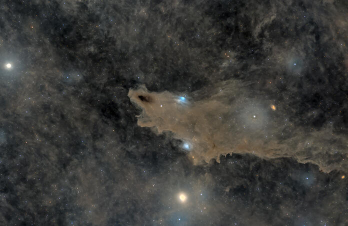 LDN 1235, the Dark Shark Nebula