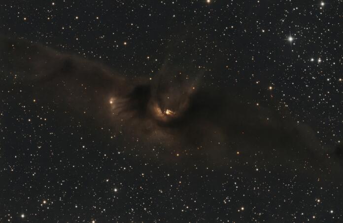 LDN43  Cosmic Bat nebula aka The Silent Assassin 