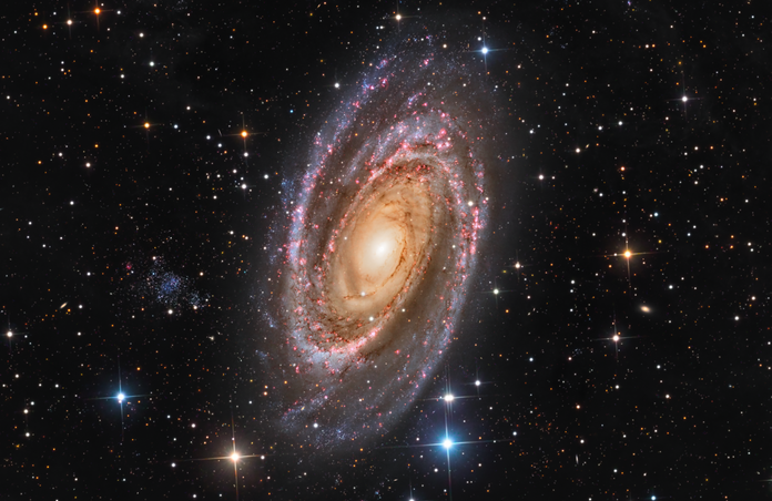 M81 in HaLRGB