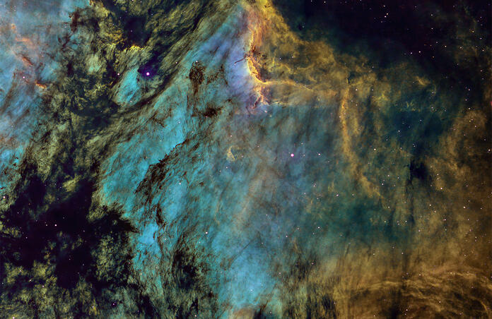 Pelican Nebula  IC5067