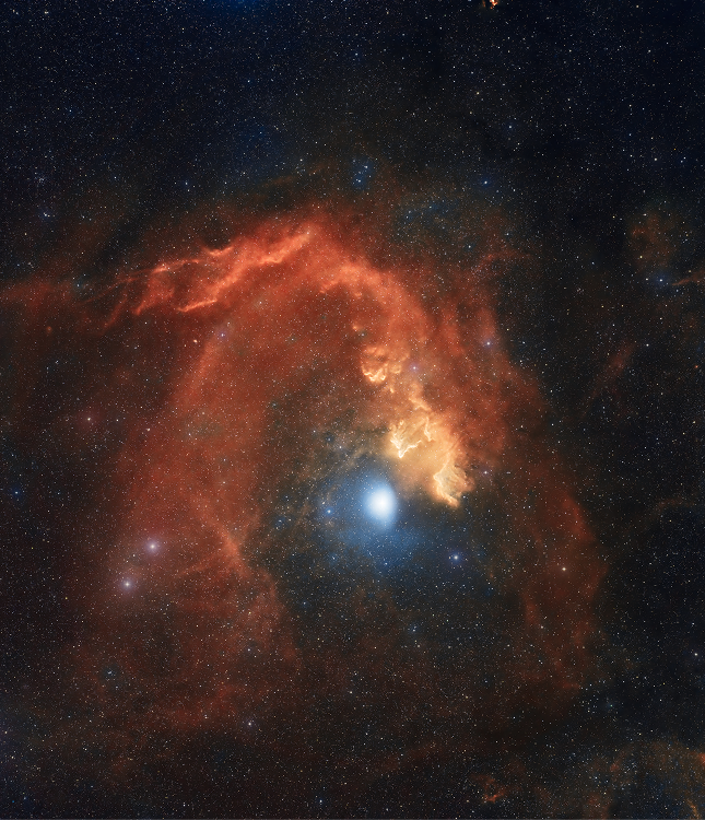The blue dolphin Nebula