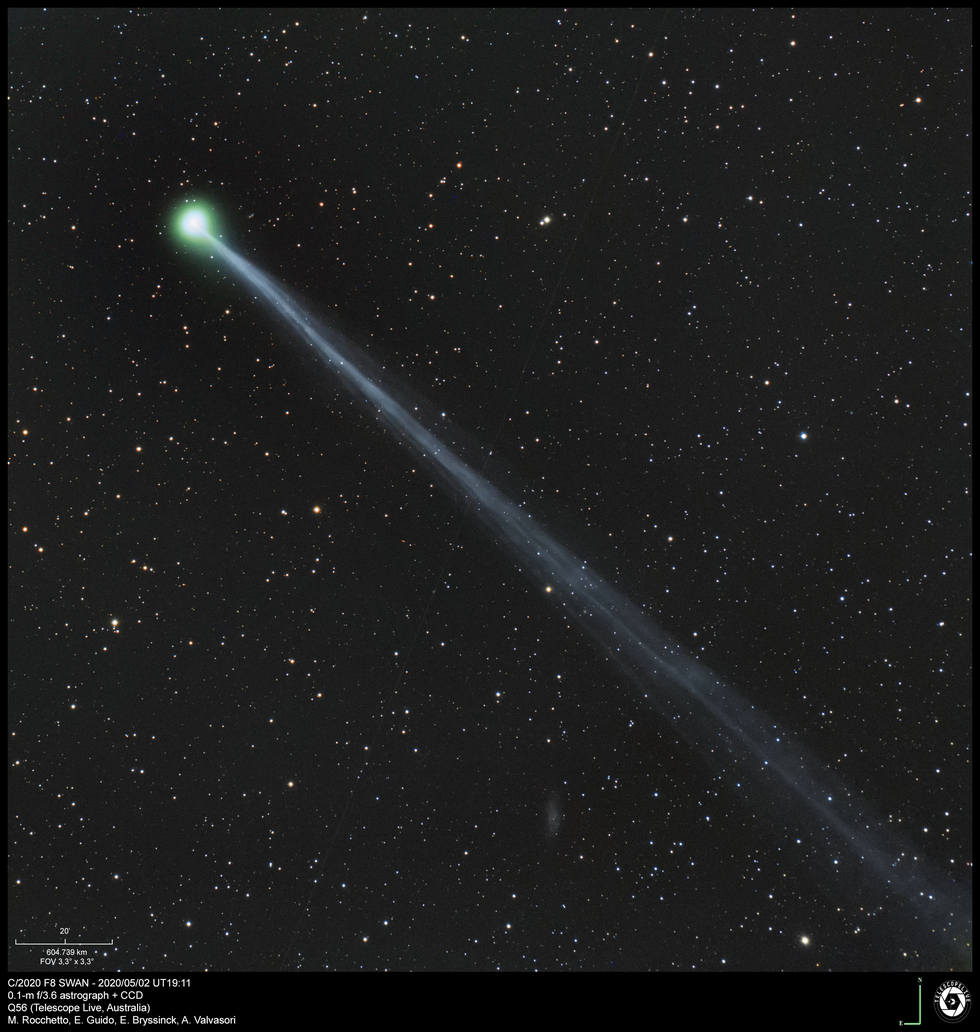 Bright Comet C/2020 F8 (SWAN), May 02, 2020