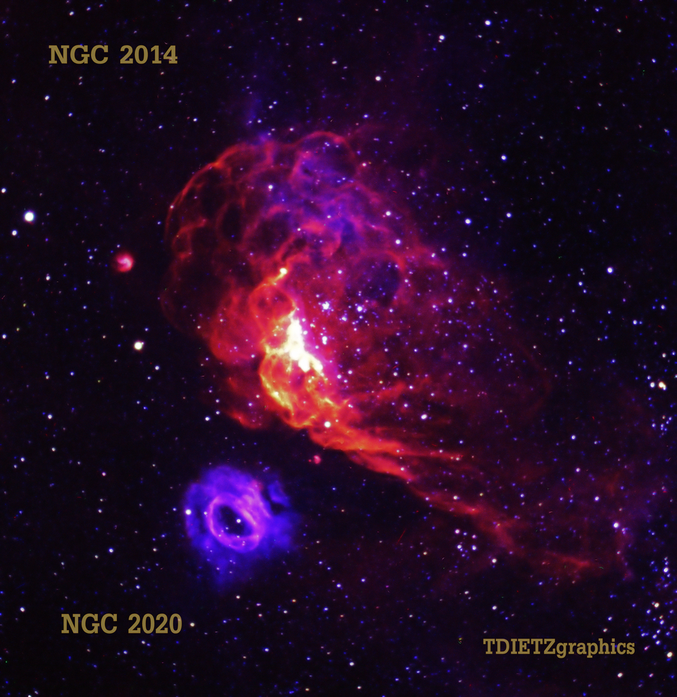NGC 2014 and NGC 2020