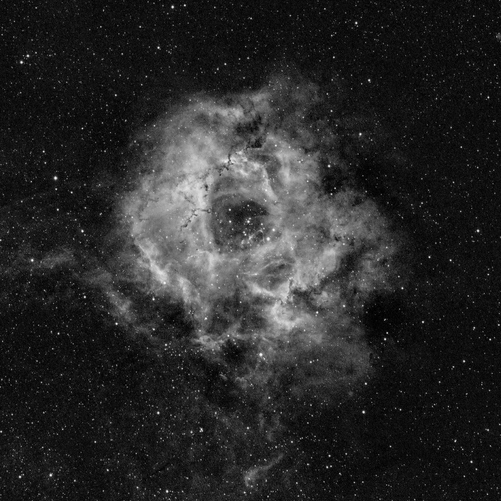Rosette Nebula B/N (NGC 2237)