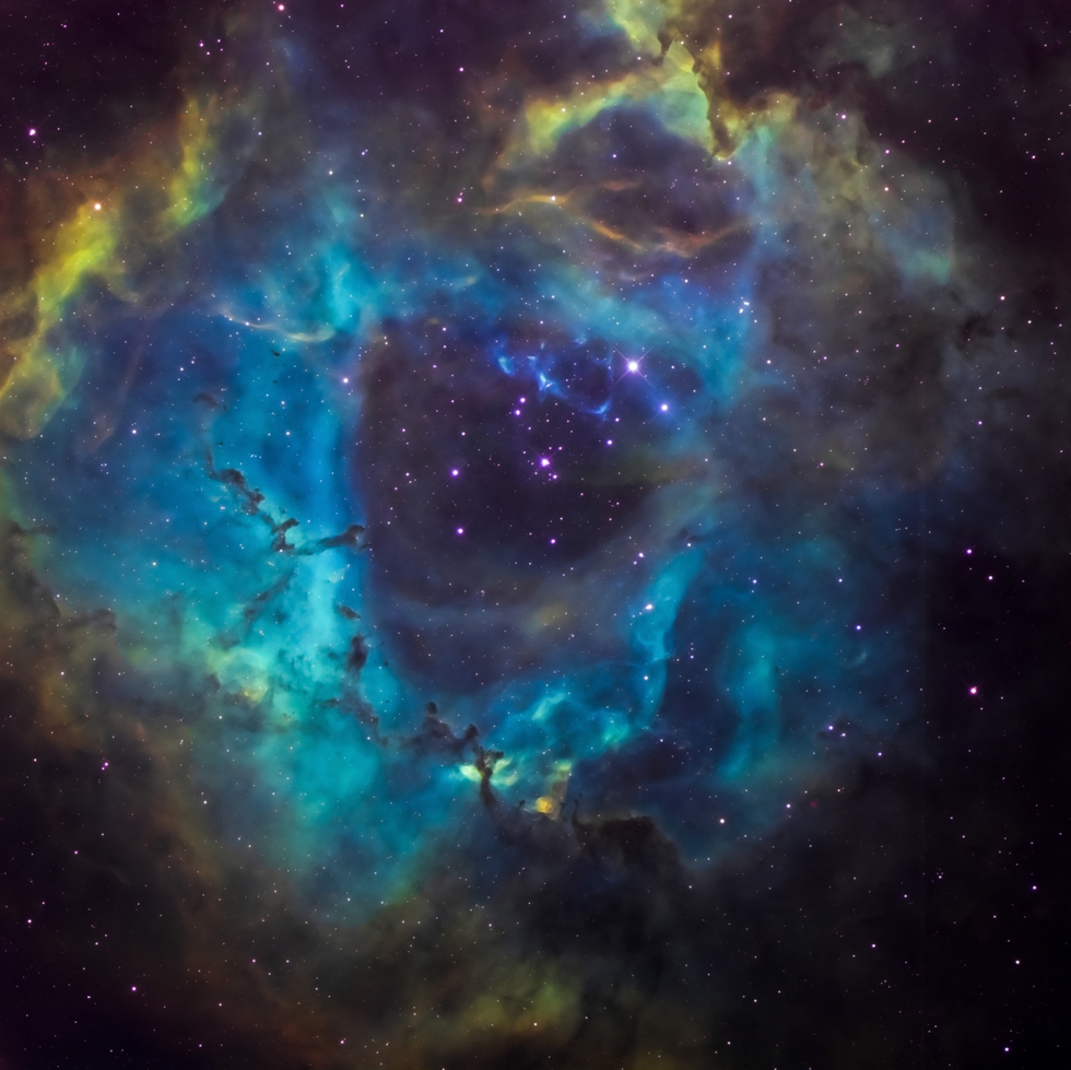 Rosette Nebula in SHO