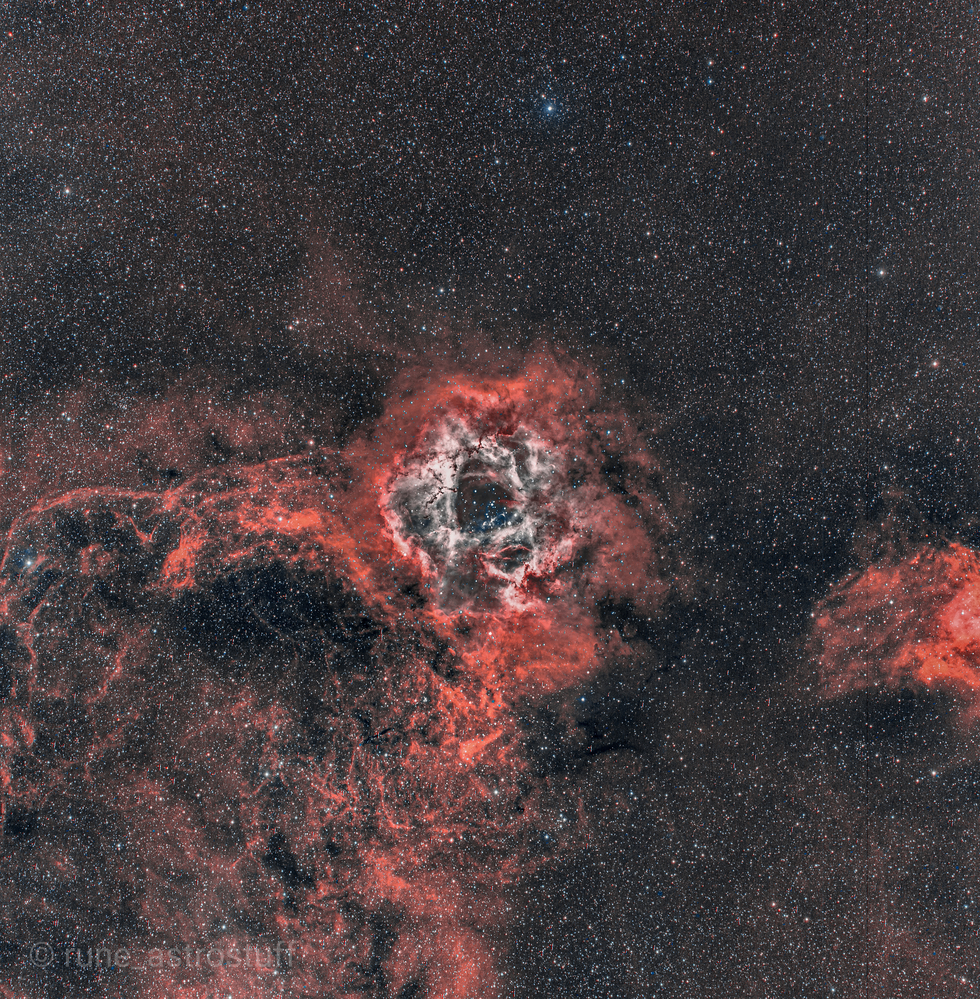 Rossete nebula in SHO and HAHOO
