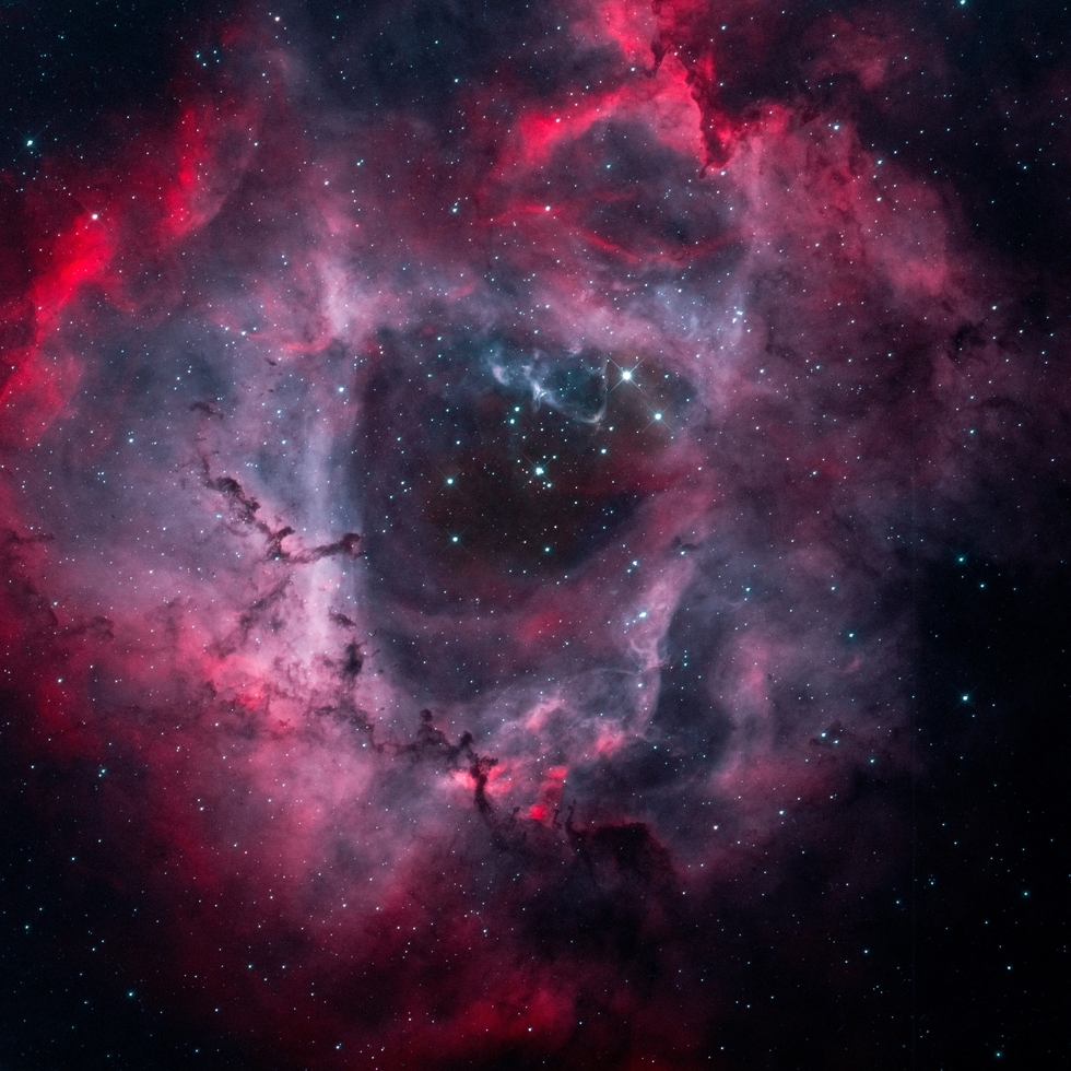 Rosette Nebula in HOO