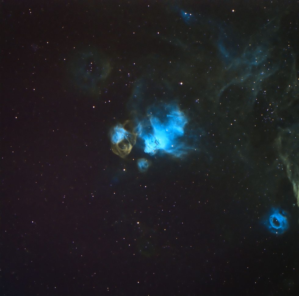 Dragons Head Nebula - NGC 2035