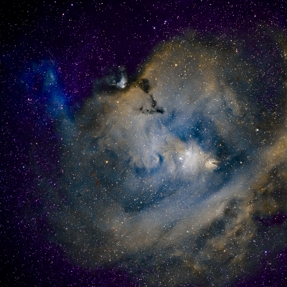 Cone Nebula - Wide Field