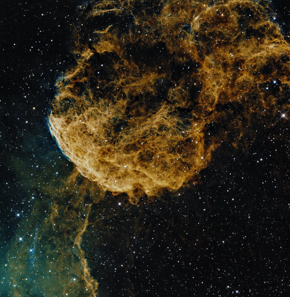 Jellyfish Nebula (IC443)
