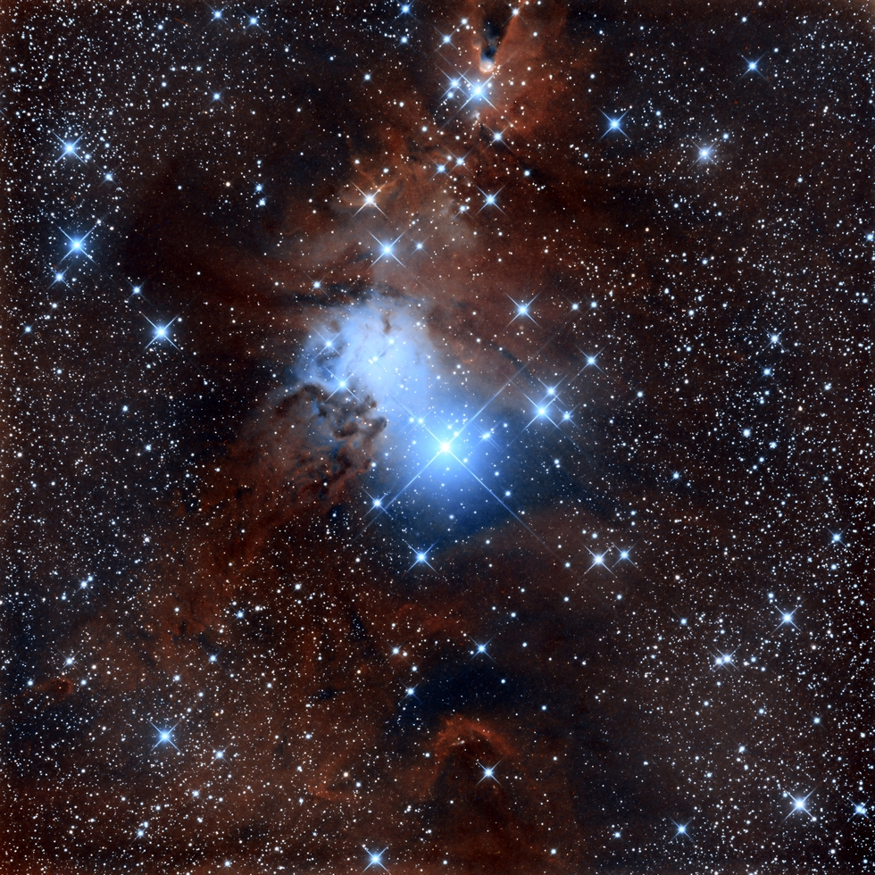 NGC 2264