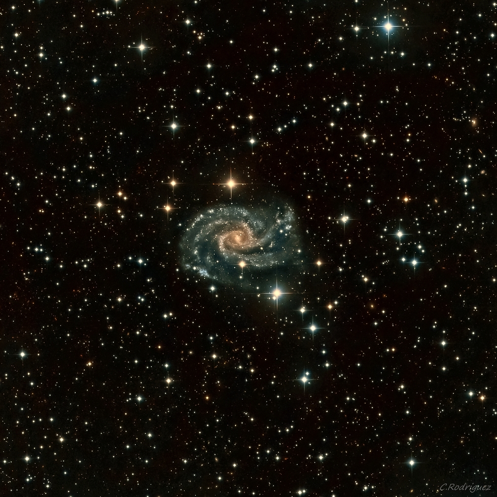 NGC 2835