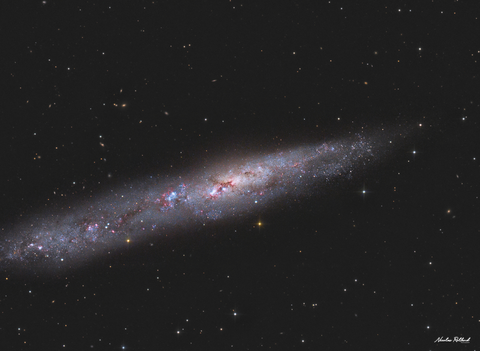 The Whale Galaxy (NGC 55)