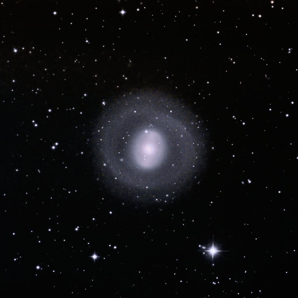 NGC1269