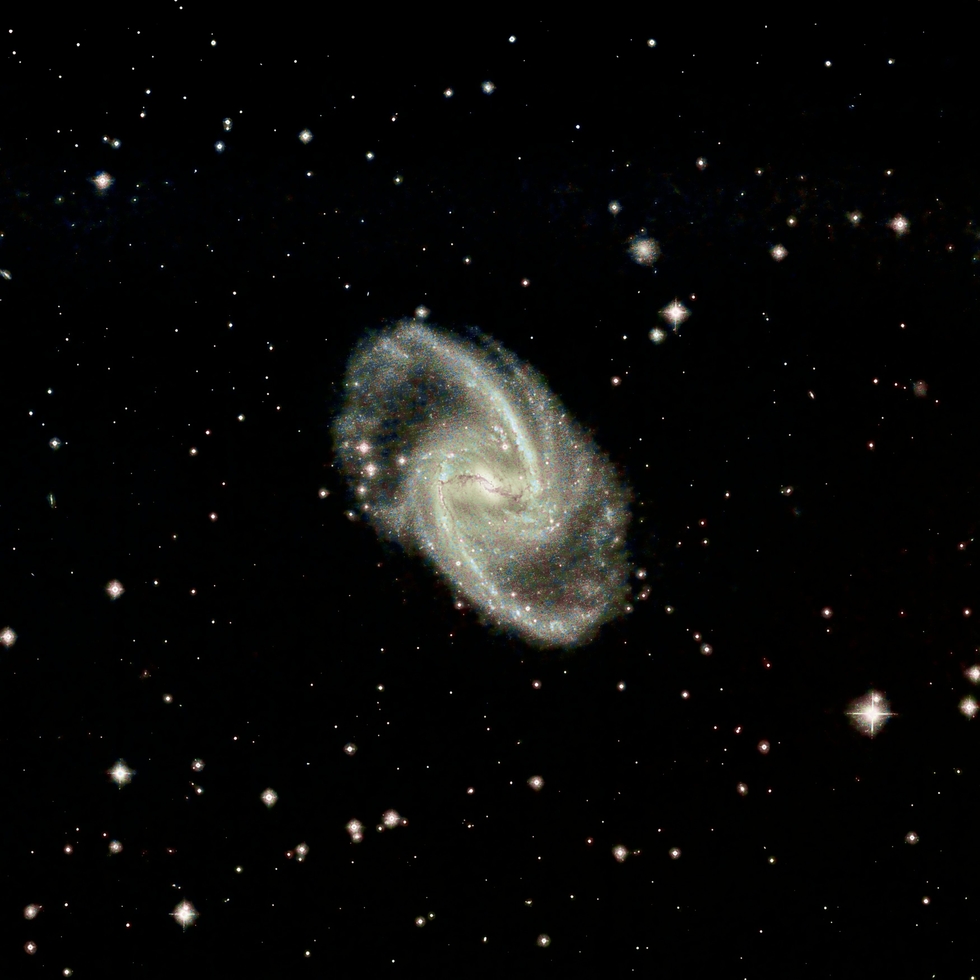 NGC1365