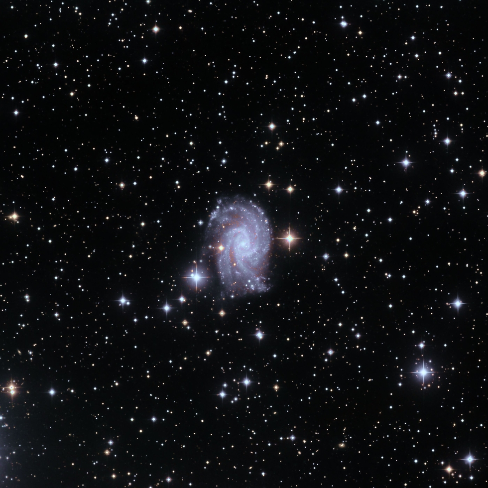 NGC2835