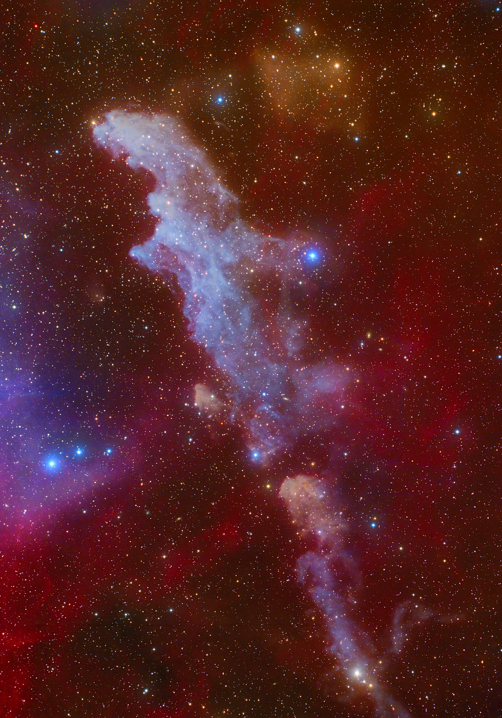 The Witch Head Nebula (IC 2118)