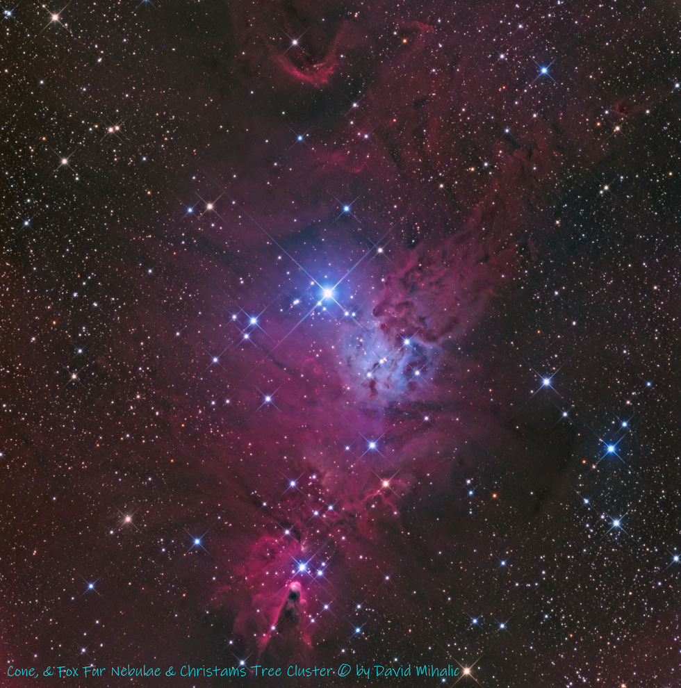 Cone, Fox Fur nebulae & Christmas Tree cluster