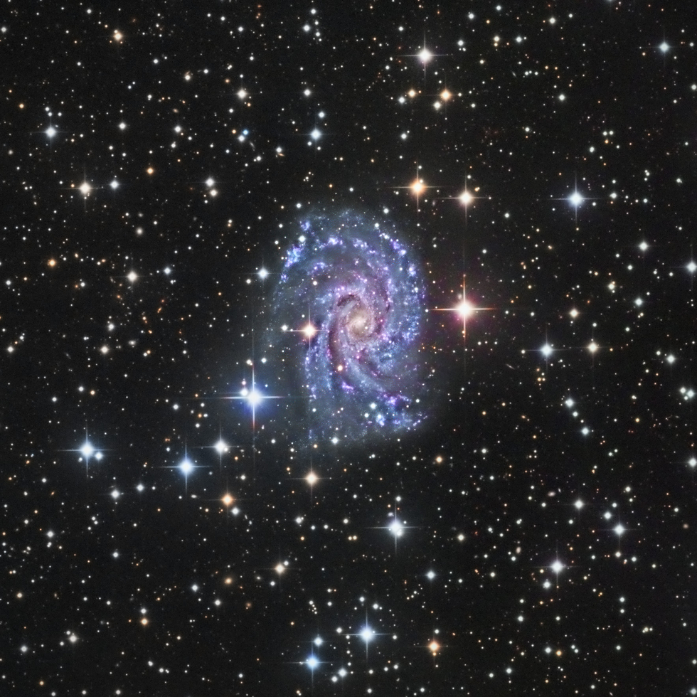 Intermediate Spiral Galaxy Ngc 2835 Telescope Live