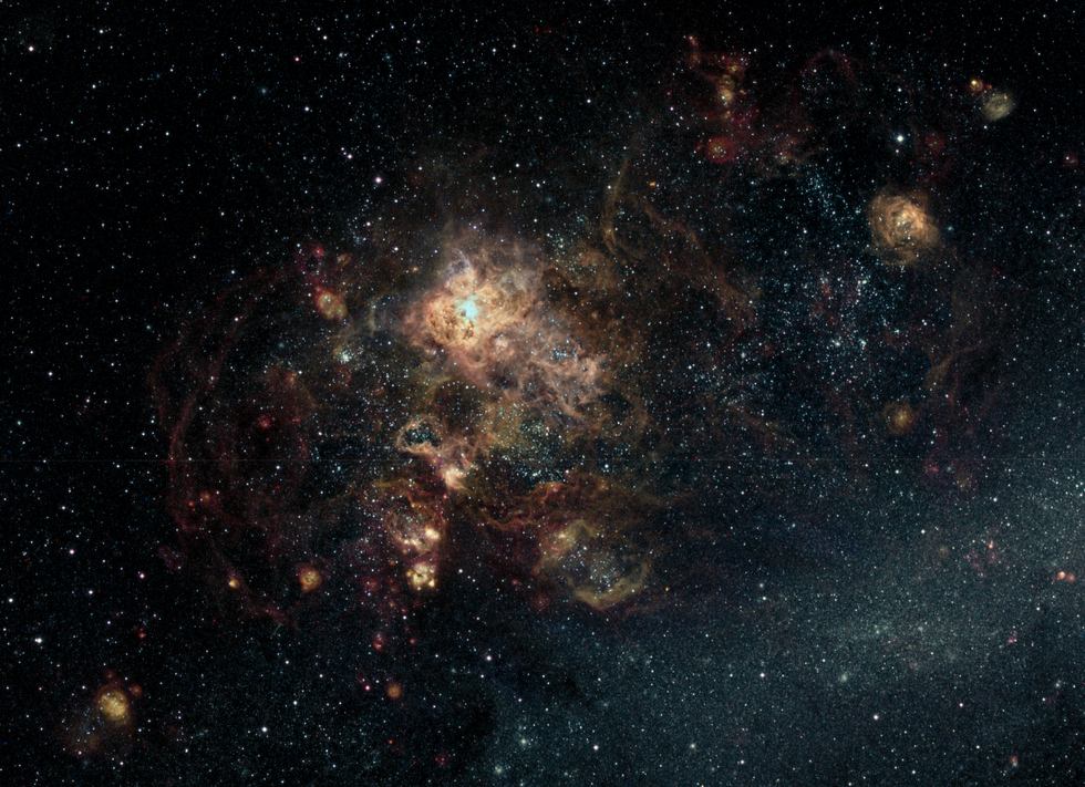 Tarantula and LMC