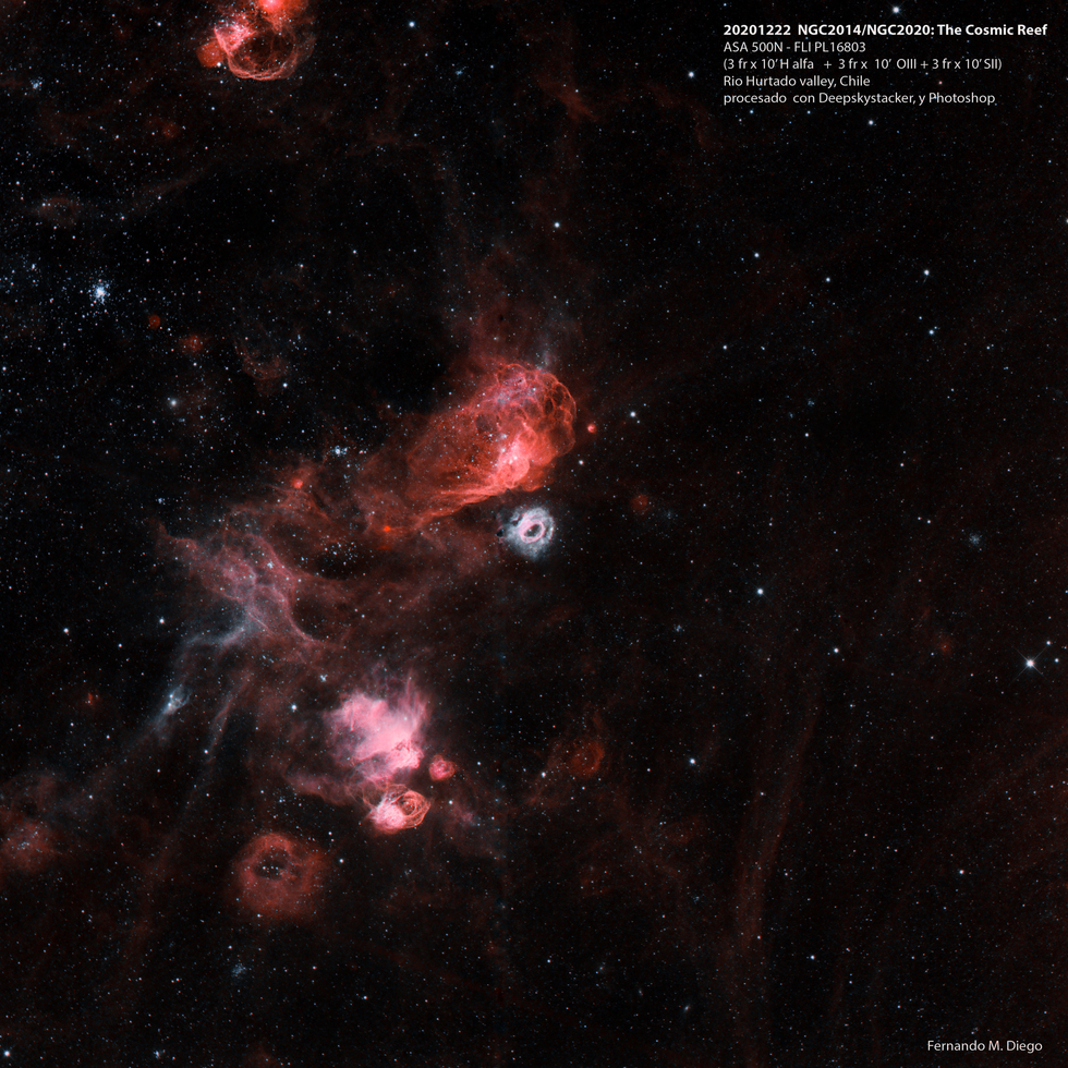 NGC2014 / NGC2020 - The Cosmic Reef