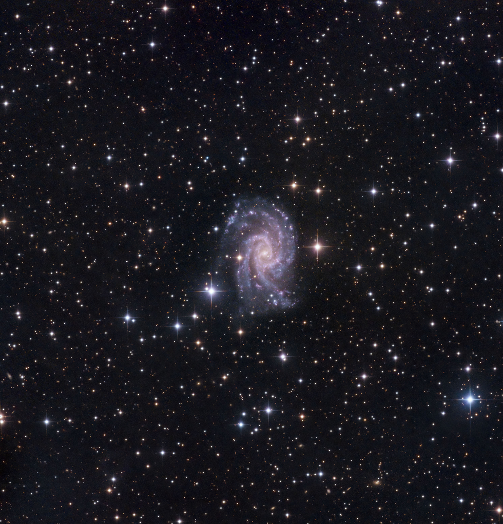 NGC 2835