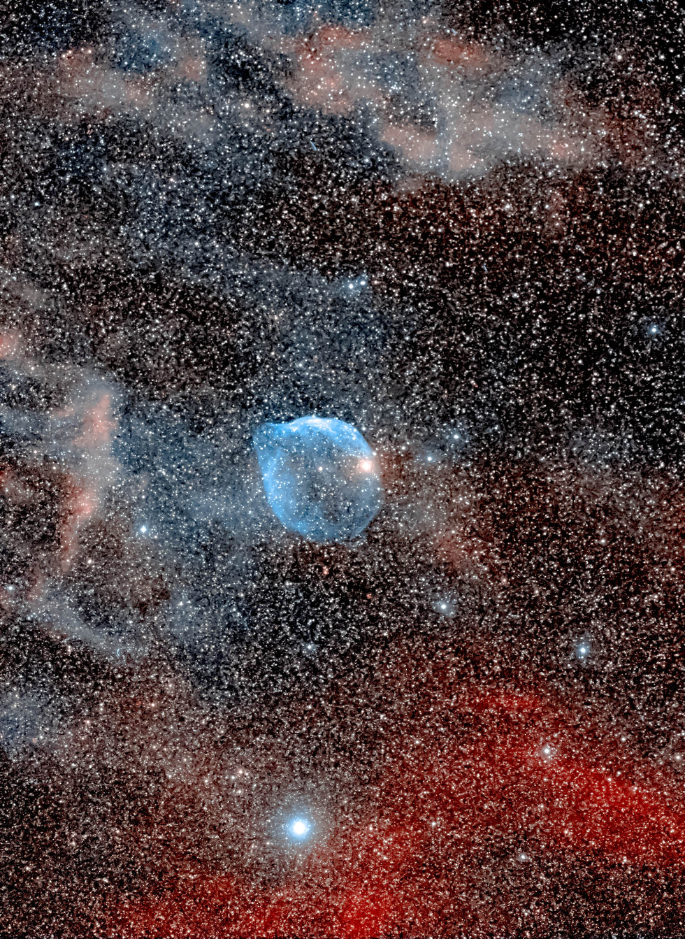 Dolphin Swimming in Nebulosity - One-Click
