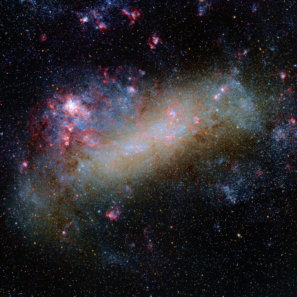 The Large Magellanic Cloud