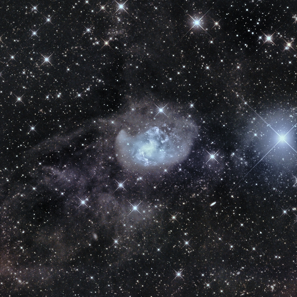 NGC1313