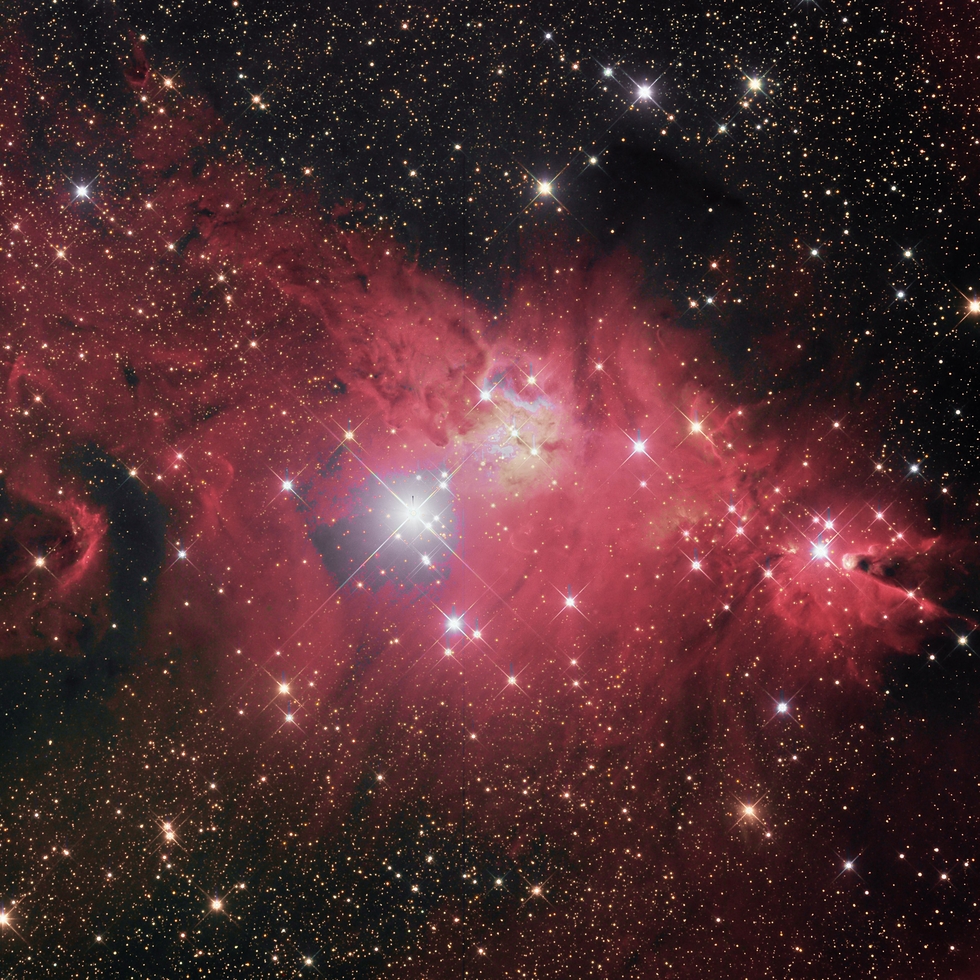 The Christmas Tree Cluster and Cone Nebula NGC2264