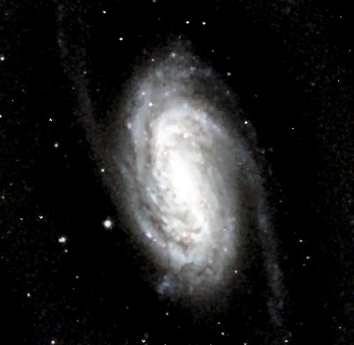 One Click Obervation - NGC2903