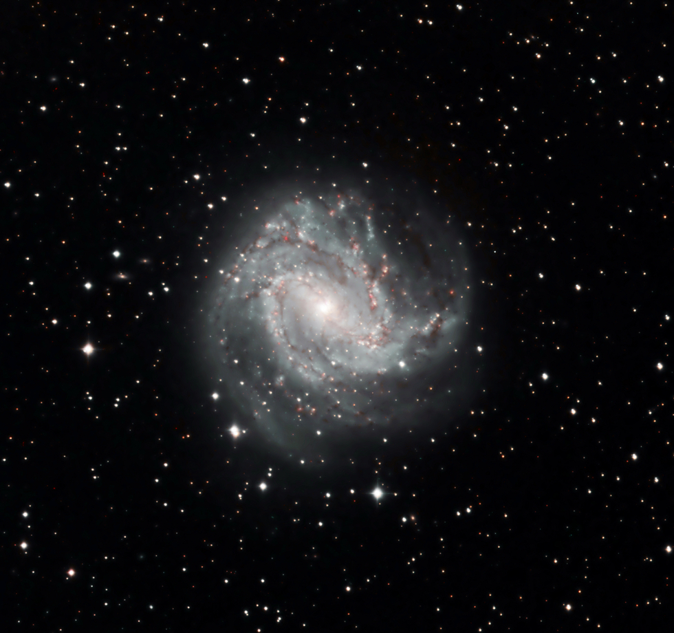 Souther Pinwhele Galaxy