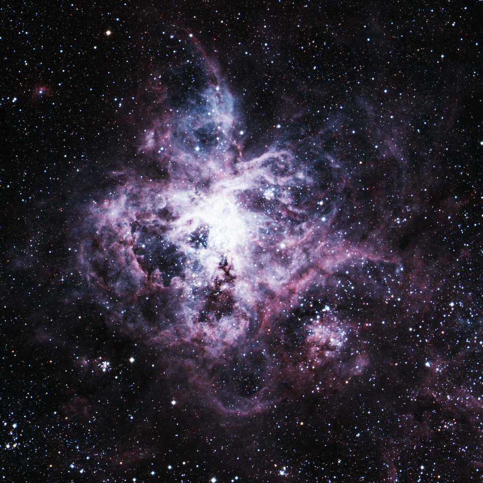 Tarantula Nebula 