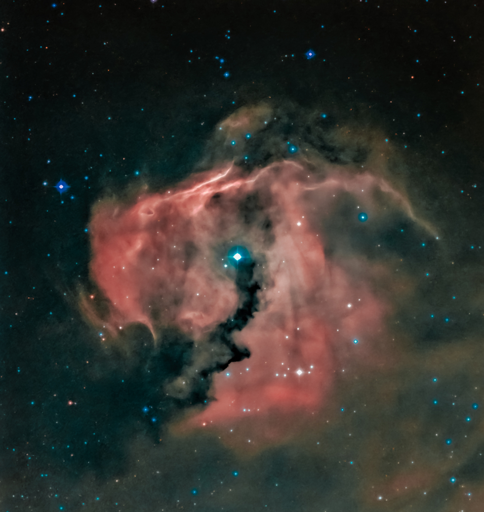 The Seagull Nebula