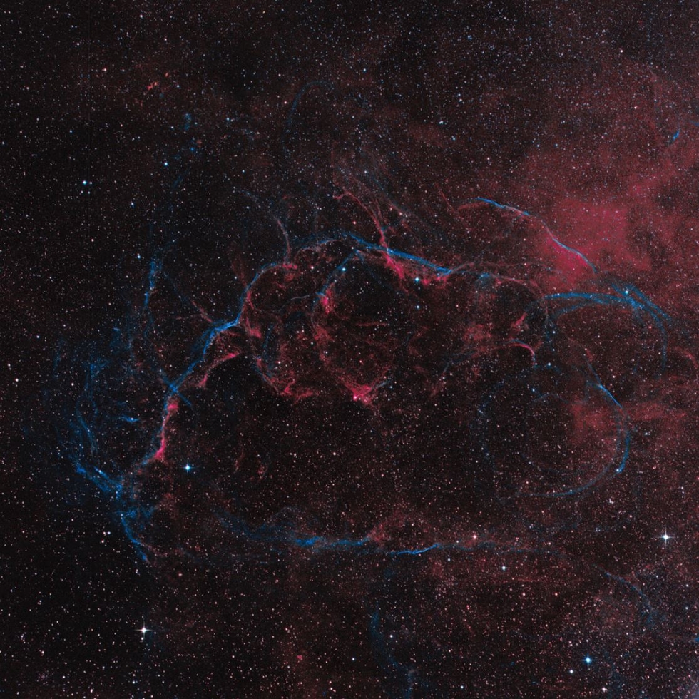 Vela Supernova Remnant
