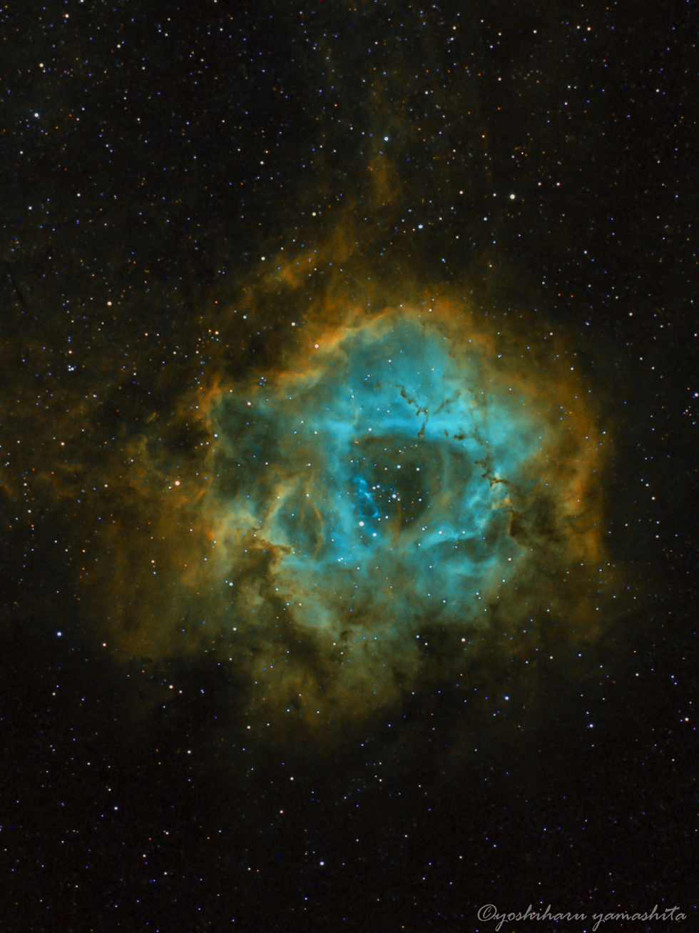 Rosetta Nebula
