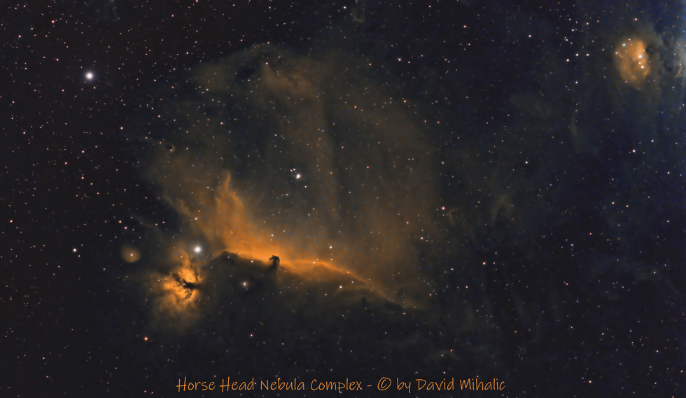 Horse head nebula complex