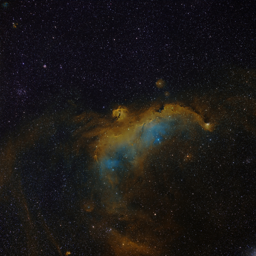 IC 2177 ( Seagull Nebula) 