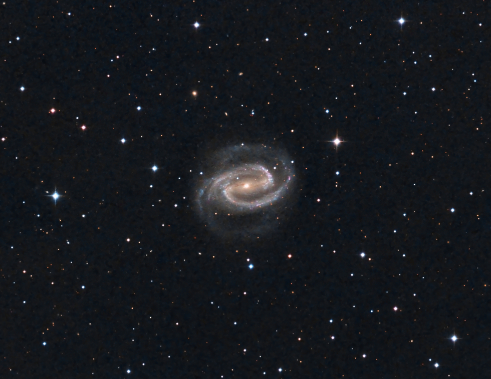 NGC 1300 One-Click Observations