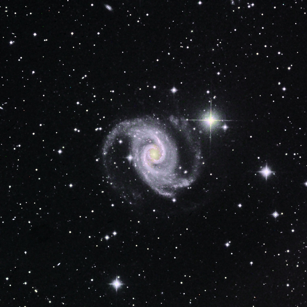 NGC1566