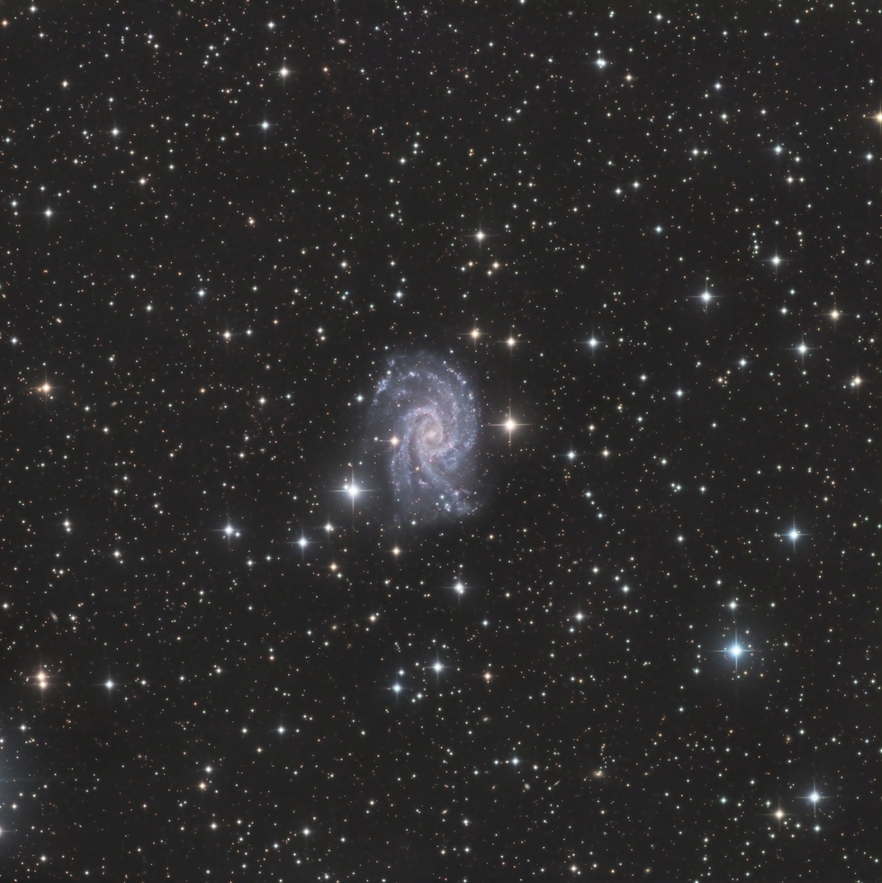 NGC 2835 Pro Dataset