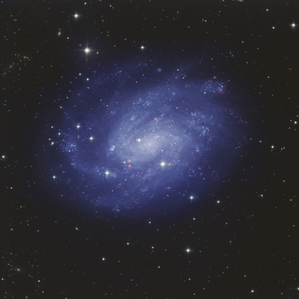 NGC300