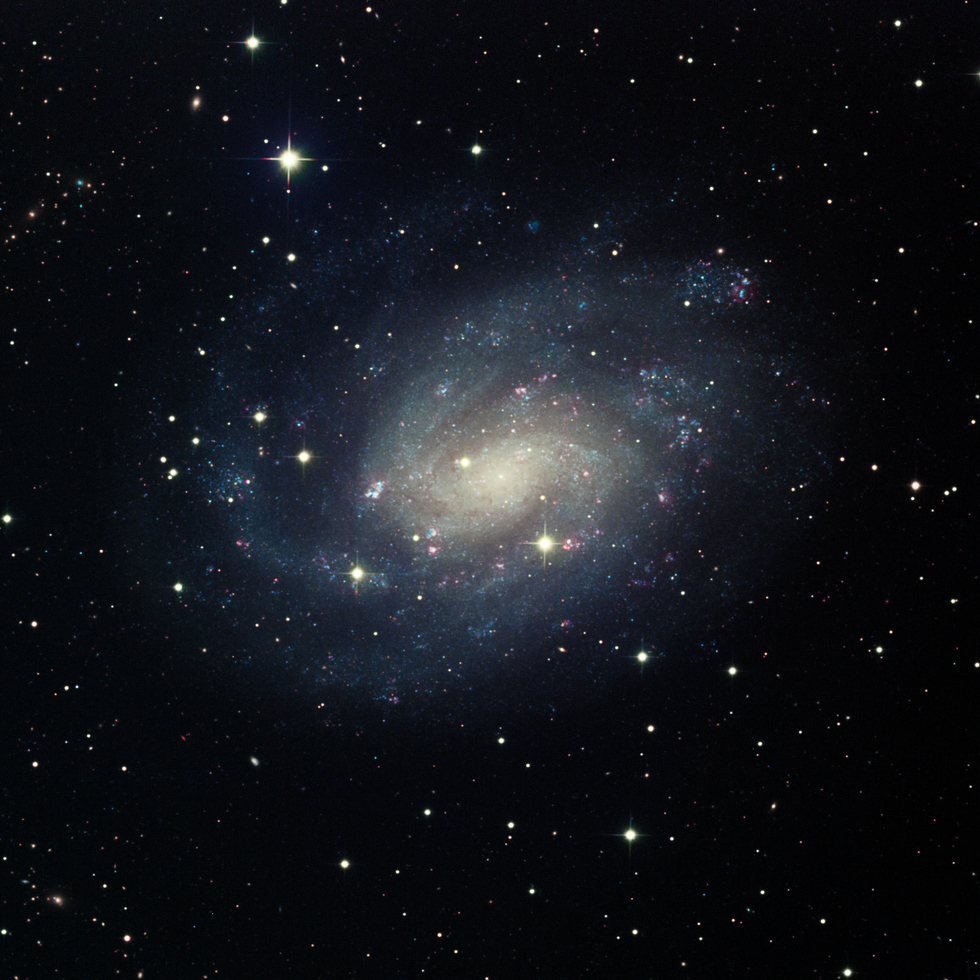 NGC 300 (pro data)