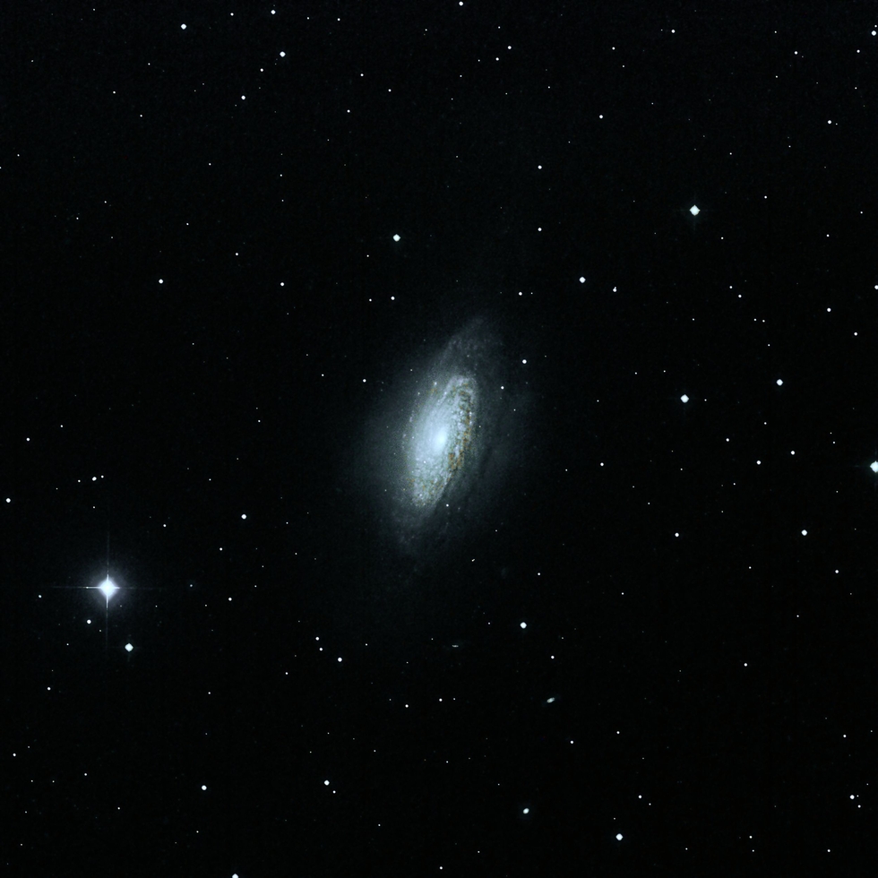 NGC3521