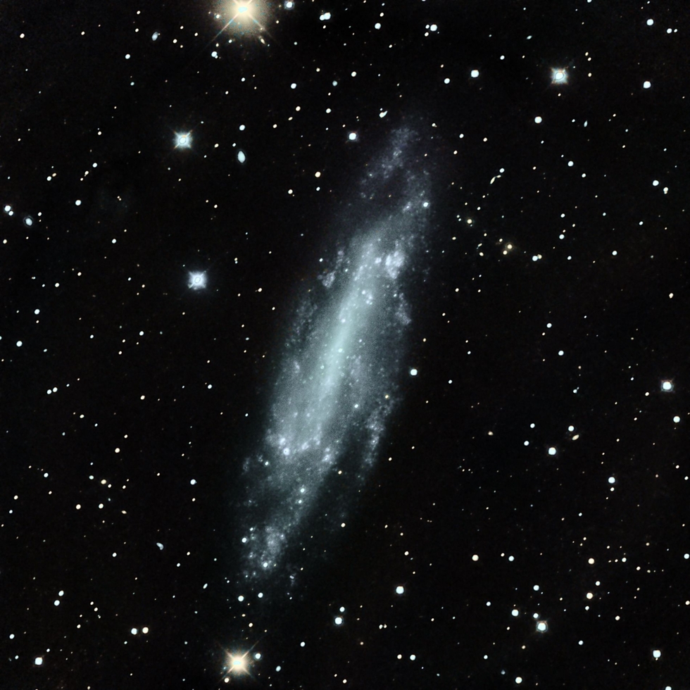 NGC4236