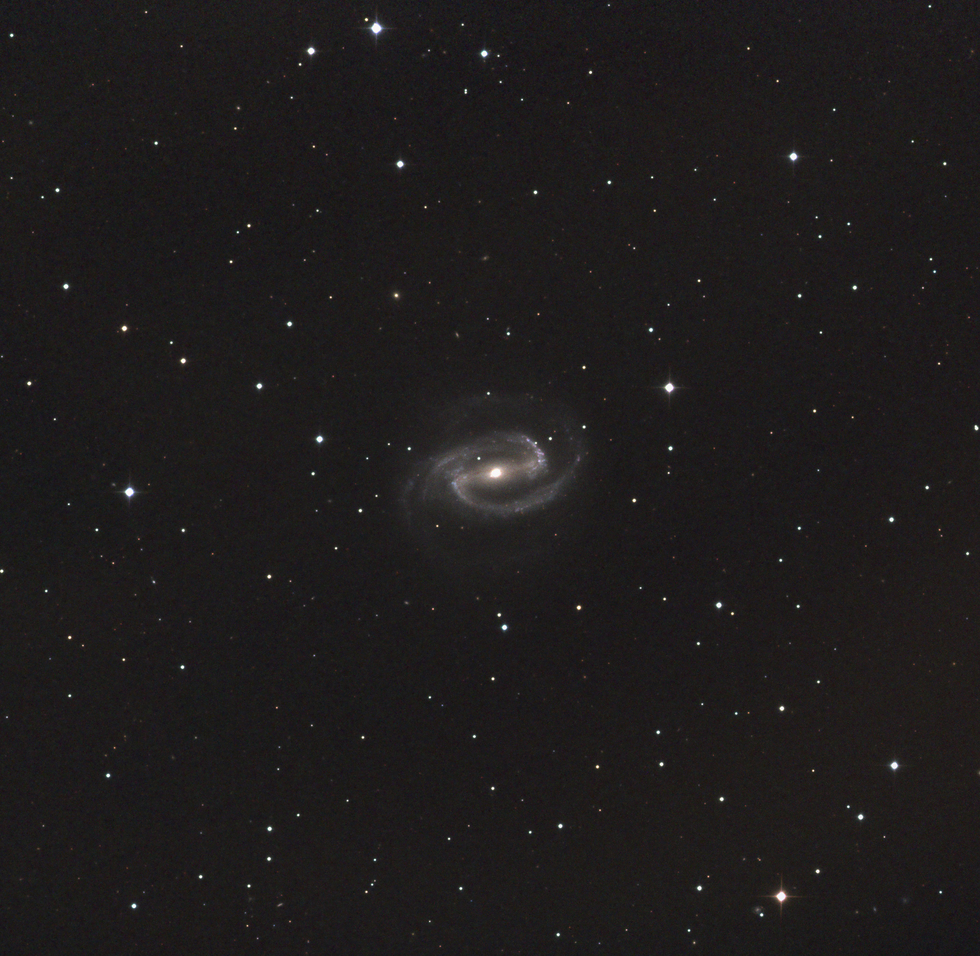 NGC 1300