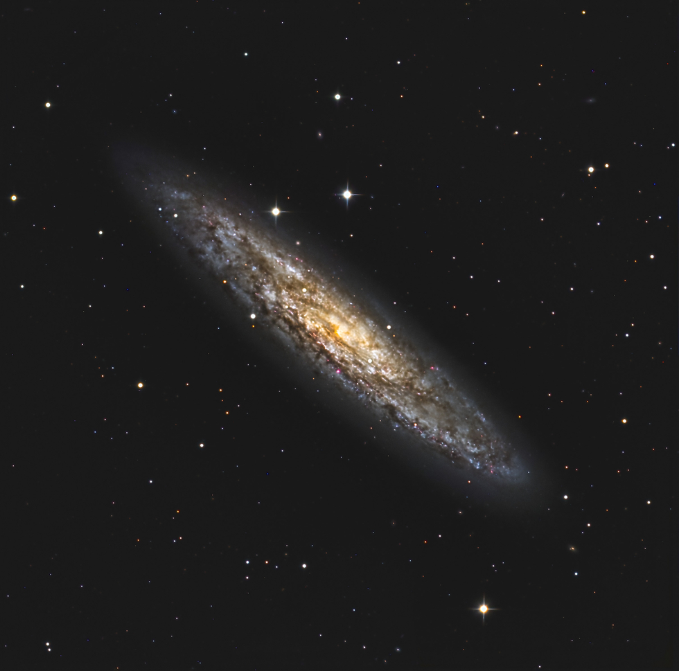 NGC253 | Telescope Live