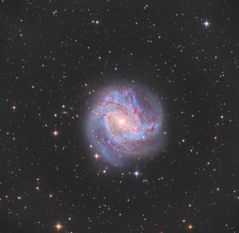 M83 The Southern Pinwheel Galaxy Telescope Live