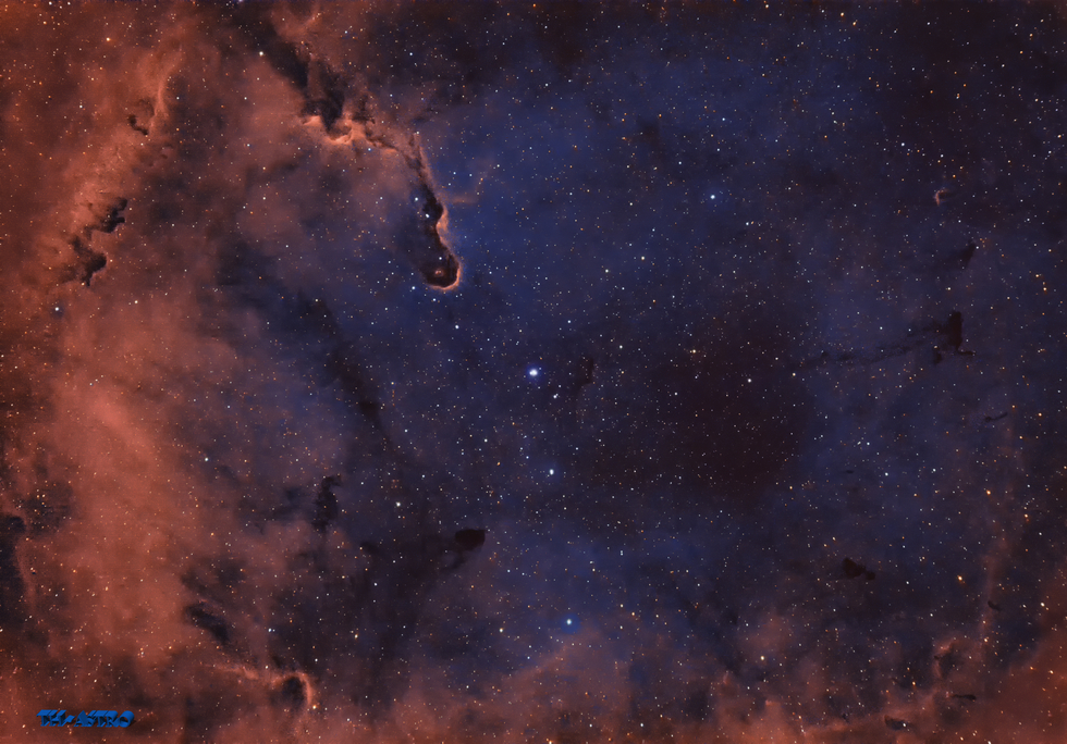 The Elephants Trunk Nebula